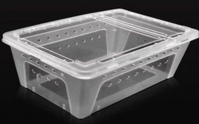 KANDANG REPTIL / SQUARE FEEDING BOX KOTAK REPTIL / KANDANG NOMOY - PUTIH